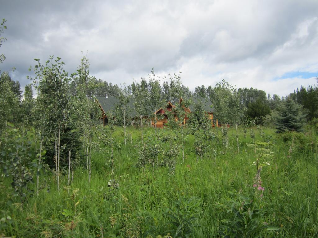 Ldr山林小屋 - 最后美元牧场 史密瑟斯 外观 照片